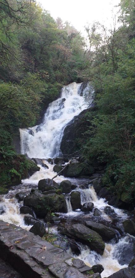 Lios Daire Killarney Luaran gambar